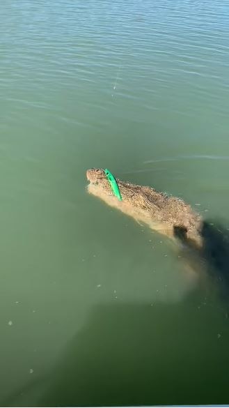  हुक में जो फंसा वो देखकर बुरी तरह डरे लोग