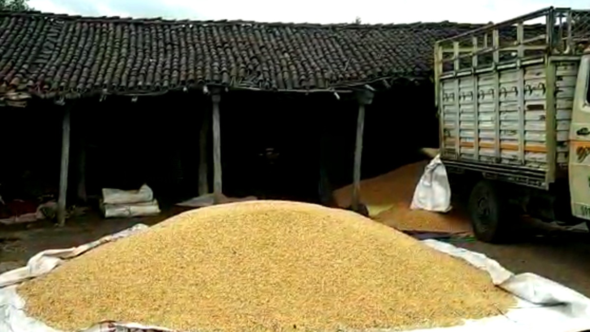 मजदूरों के जॉब कार्ड पर अभि‍नेत्र‍ियों की तस्‍वीर. 	