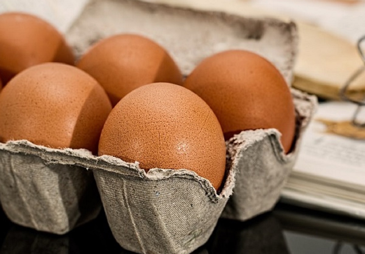 क्यों खाना चाहिए अंडा?