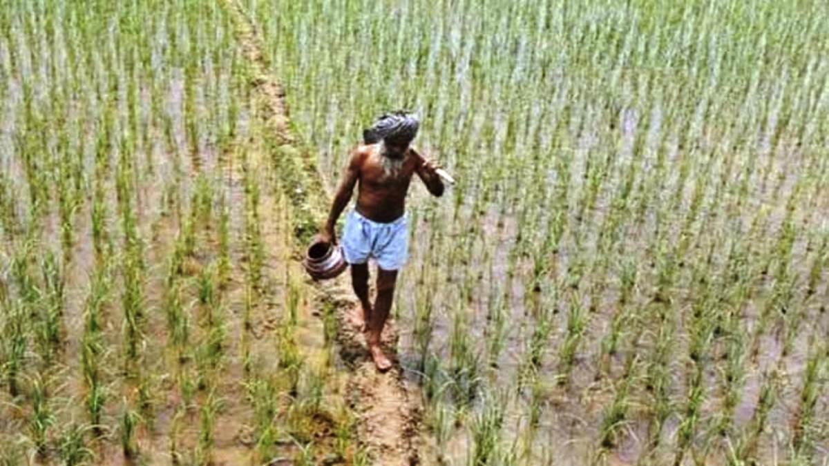 डिजिटल कार्ड डाउनलोड कर सकेंगे डिजिटल कार्ड डाउनलोड कर सकेंगे