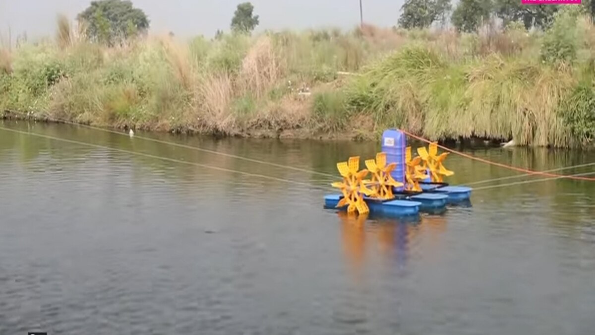 फिश फार्मिंग से कमा रहे लाखों. 