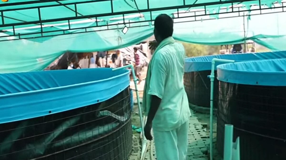 फिश फार्मिंग से कमा रहे लाखों. 