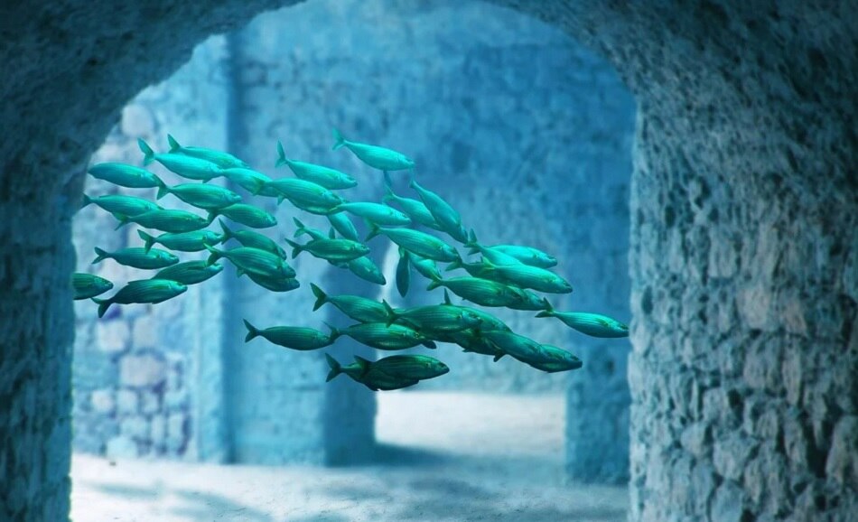 जल में तैरती मछलियां