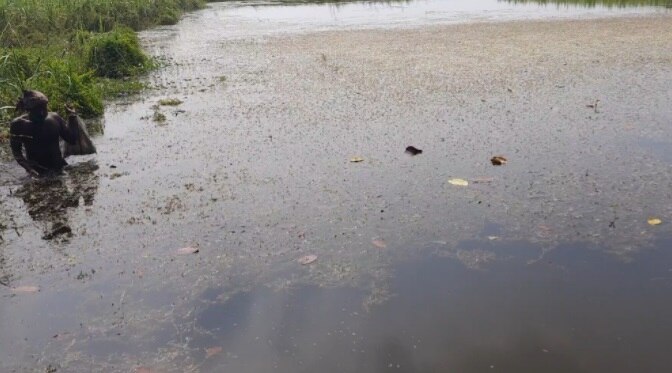 गोपालगंज में मछली पकड़कर गुजारा कर रहे किसान