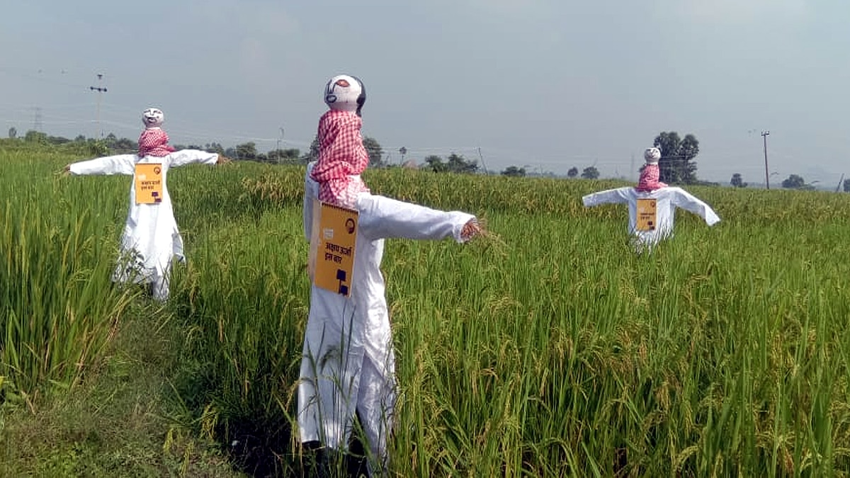 Gaya Scarecrow in the fields giving special message to the leaders  