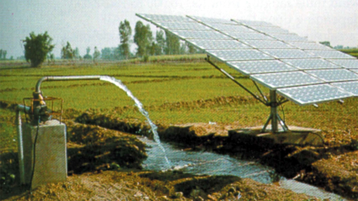 Gaya Scarecrow in the fields giving special message to the leaders  