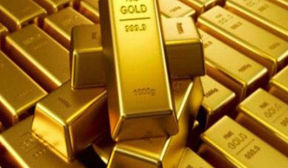 पूरे साल शानदार प्रदर्शन