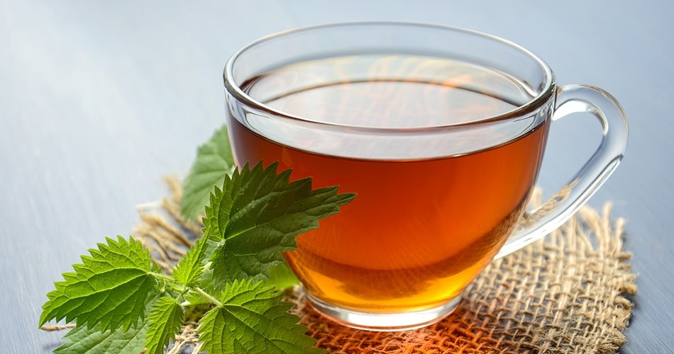 भाप लेने की सलाह