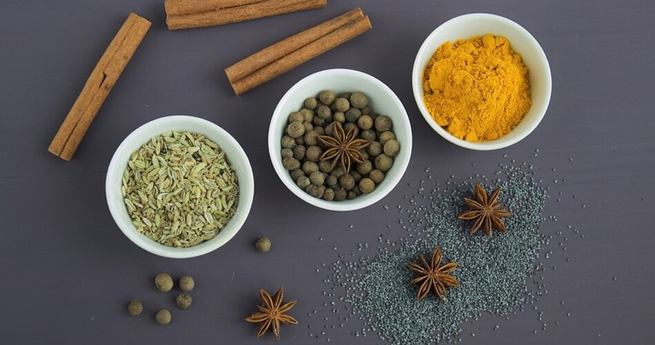 कटघरे में आयुष मंत्रालय 