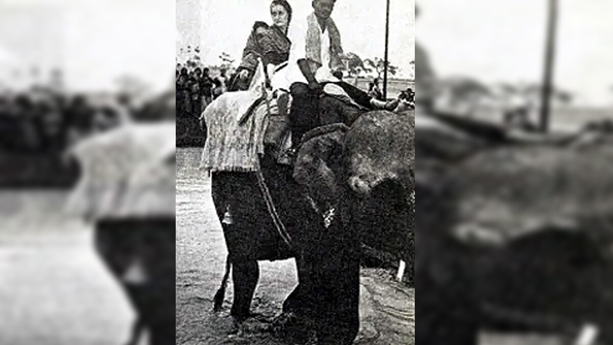 Election Story Onion Elephant sorry Indira Gandhi