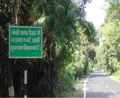 खूबसूरत वादियों के सीएम नीतीश कुमार भी दीवाने.