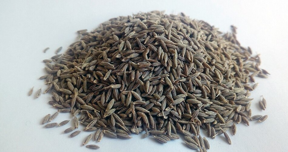 जीरा और धनिया के बीज