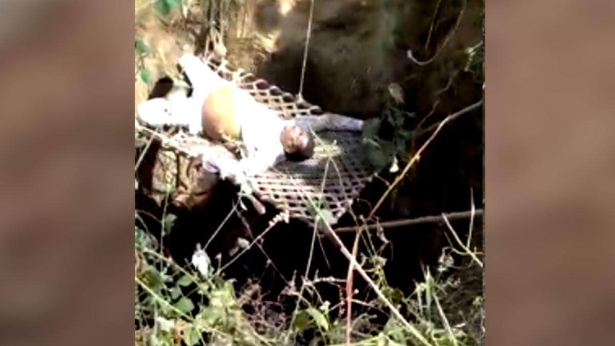 कुएं में ग‍िरे लोगों का रेस्‍क्‍यू.