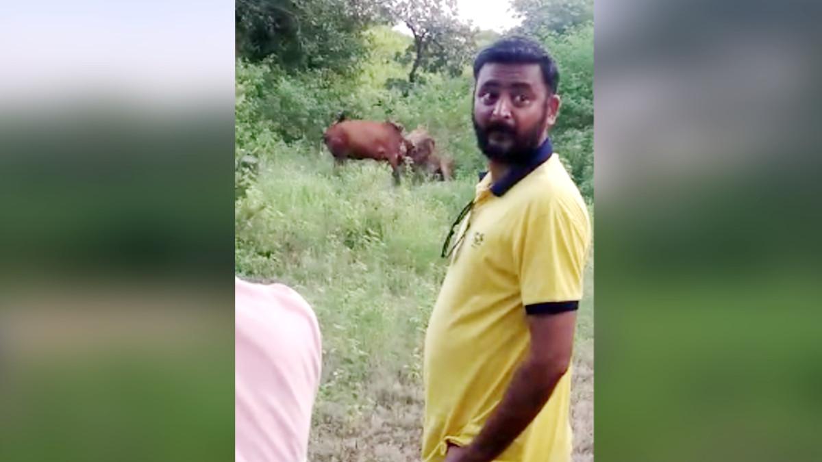 शेर के श‍िकार के समय फोटो ख‍िंंचवाते लोग.