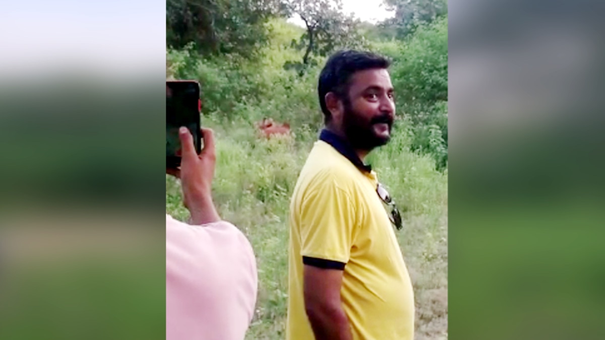  शेर को चारा देकर बुलाते थे लोग, बनाते थे वीडियो और खींचते थे सेल्‍फी. 