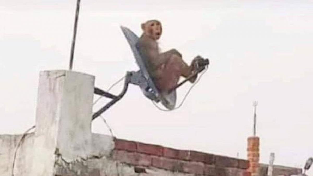 कल तक का मौका