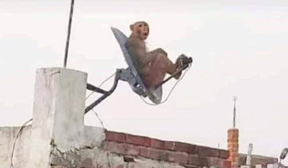 कल तक का मौका