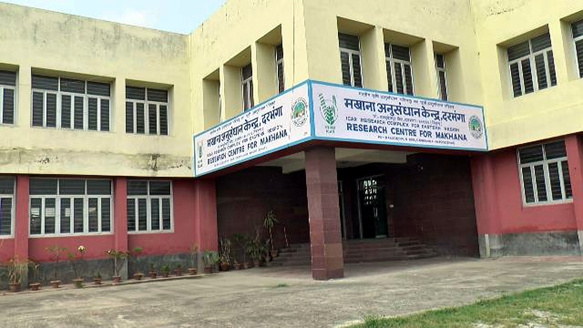 Where Makhana Fox nut cultivated