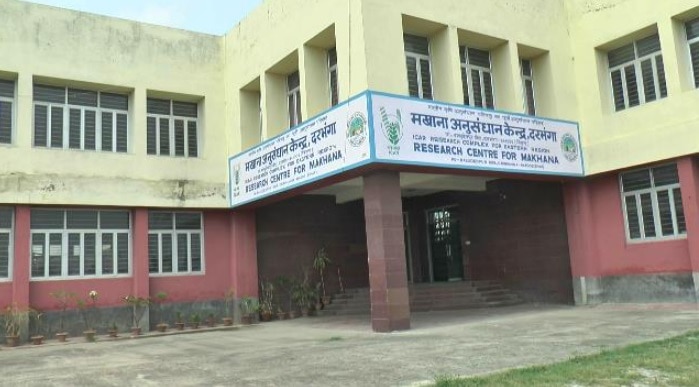 पान बाजार में कोलकाता का दबदबा.