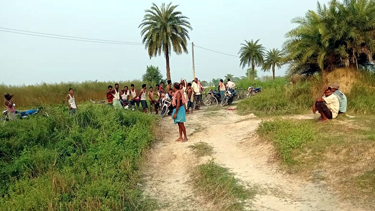 Neelgai Antelope died due to Electrocution in Samastipur