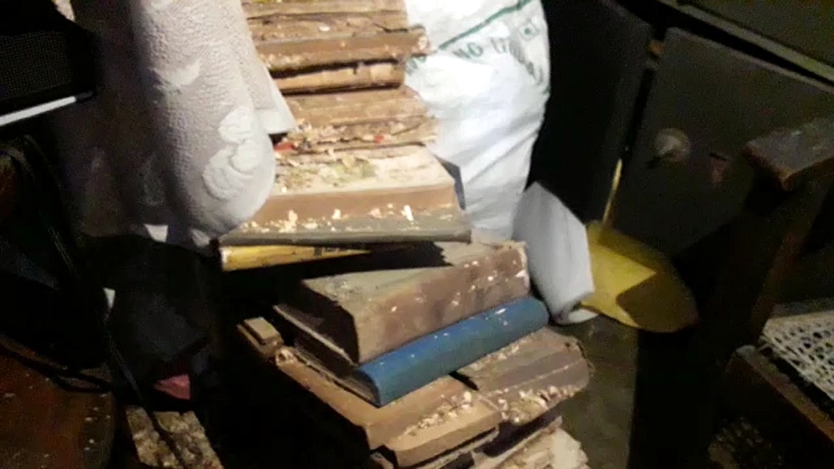 phanishwar nath renu literary creations and heritage stealing