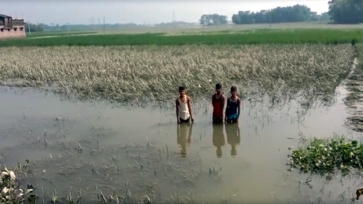 Purnia  potato price rise 50 Rs per KG Bihar Election 