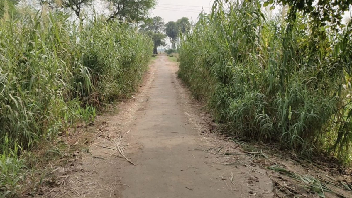 सीएम नीतीश कुमार के पैतृक गांव से महज 5 किलोमीटर की दूरी पर एक गांव हालात खराब (फोटो आजतक)