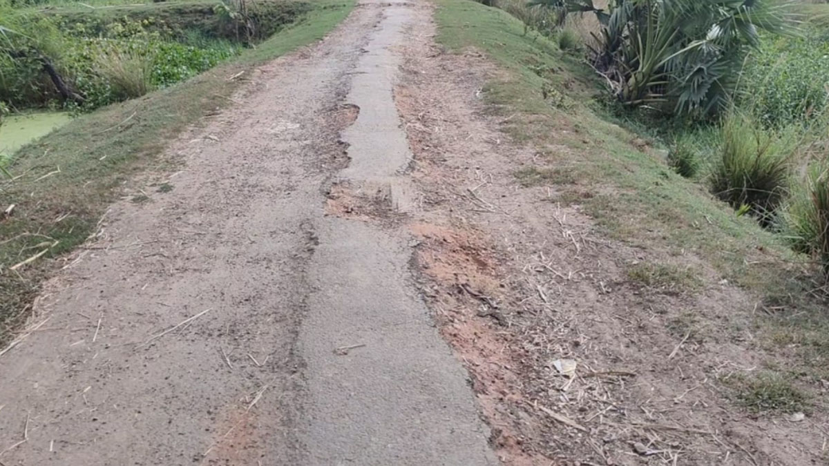 सीएम नीतीश कुमार के पैतृक गांव से महज 5 किलोमीटर की दूरी पर एक गांव हालात खराब (फोटो आजतक)