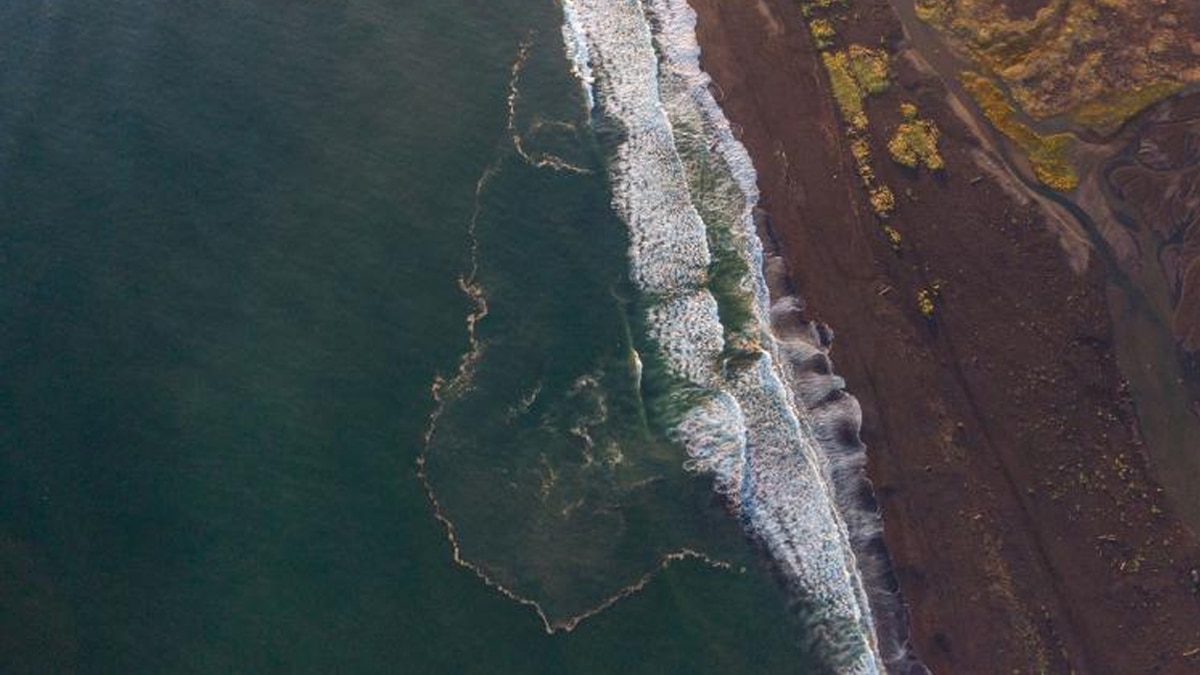 अवाचा खाड़ी में 95 प्रतिशत समुद्री जीवों की मौत हो चुकी है.