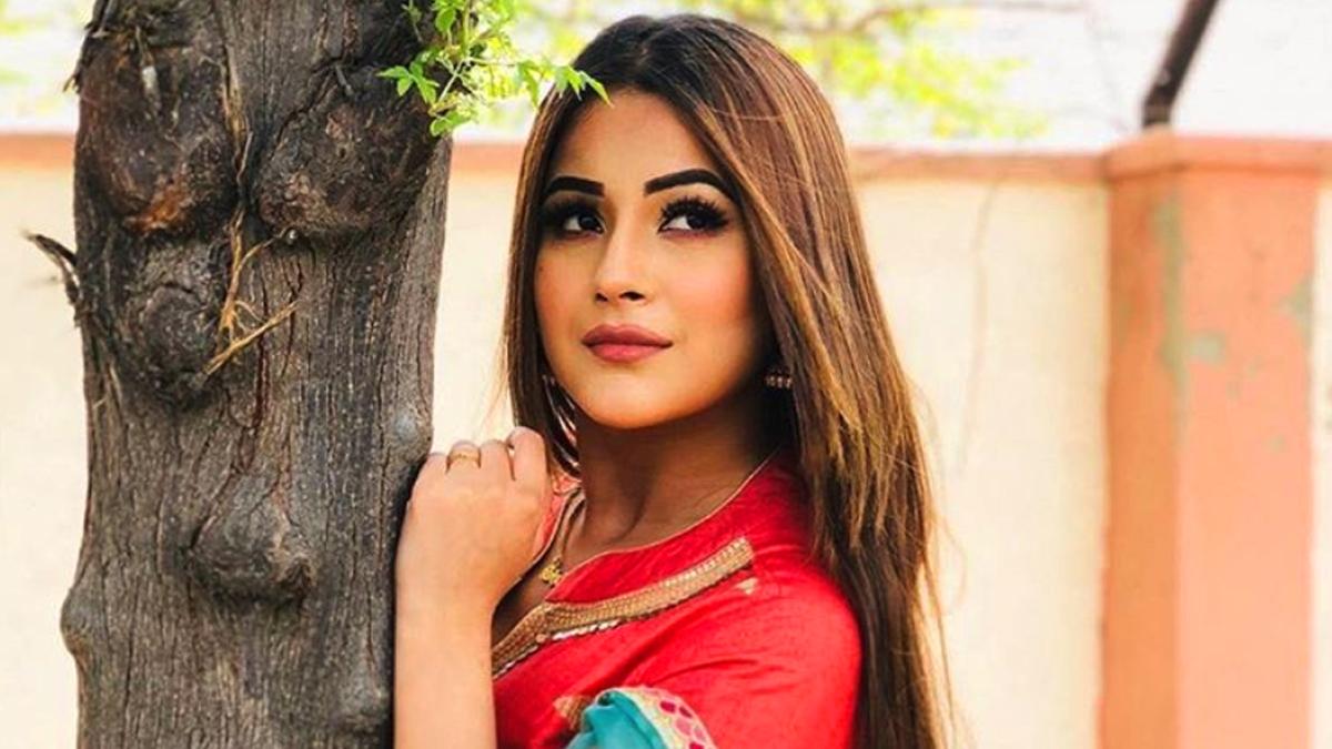 शहनाज गिल