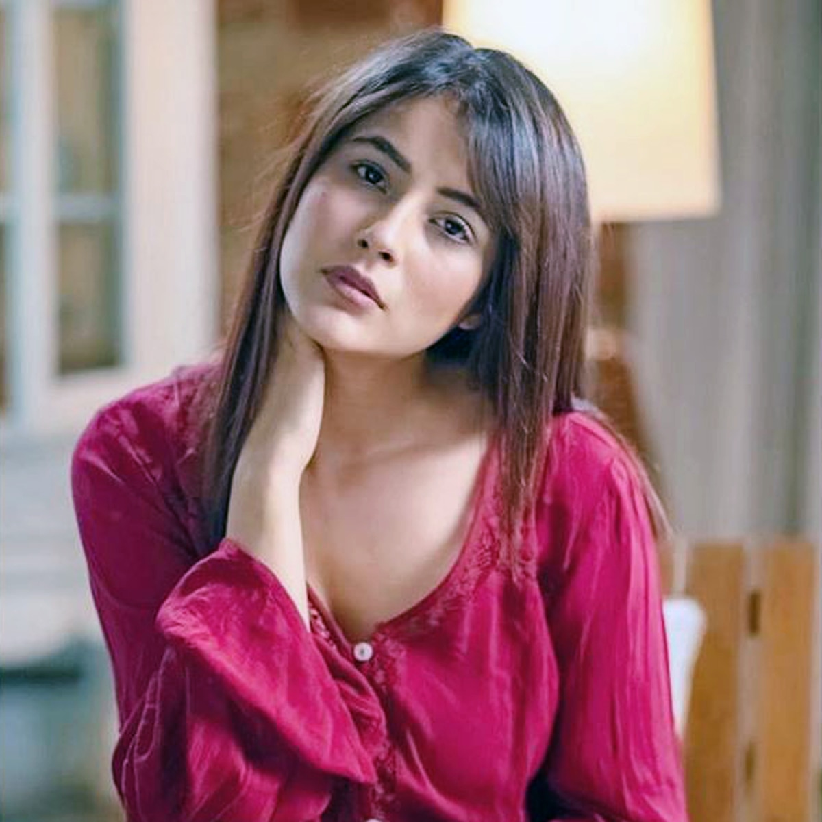 शहनाज गिल