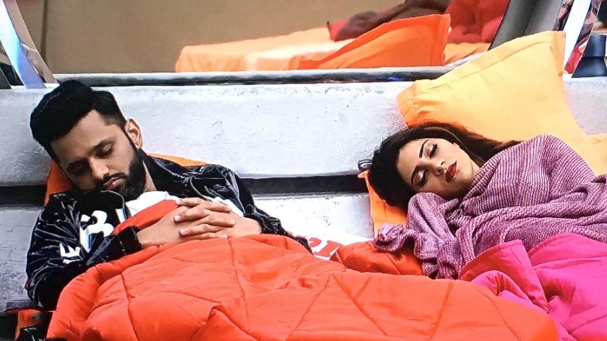 निक्की तंबोली और राहुल