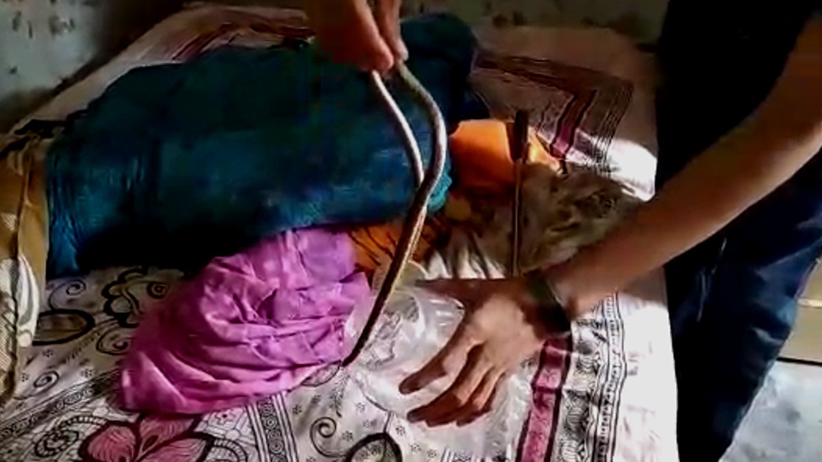 विलुप्त प्रजाति का इंडियन एग ईटर स्नेक का रेस्क्यू