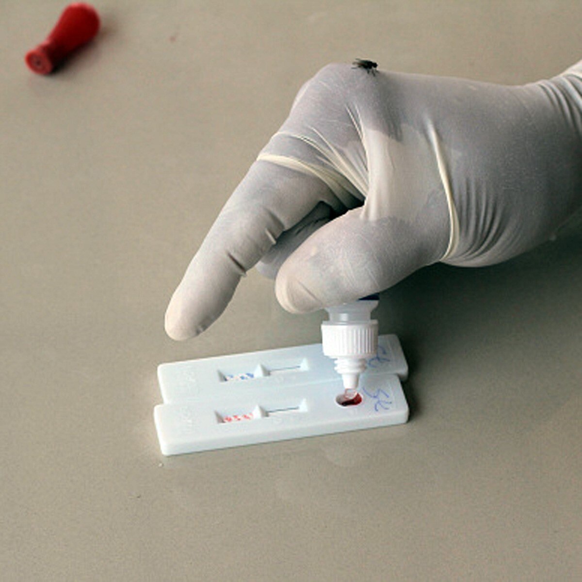 What is FELUDA paper strip test