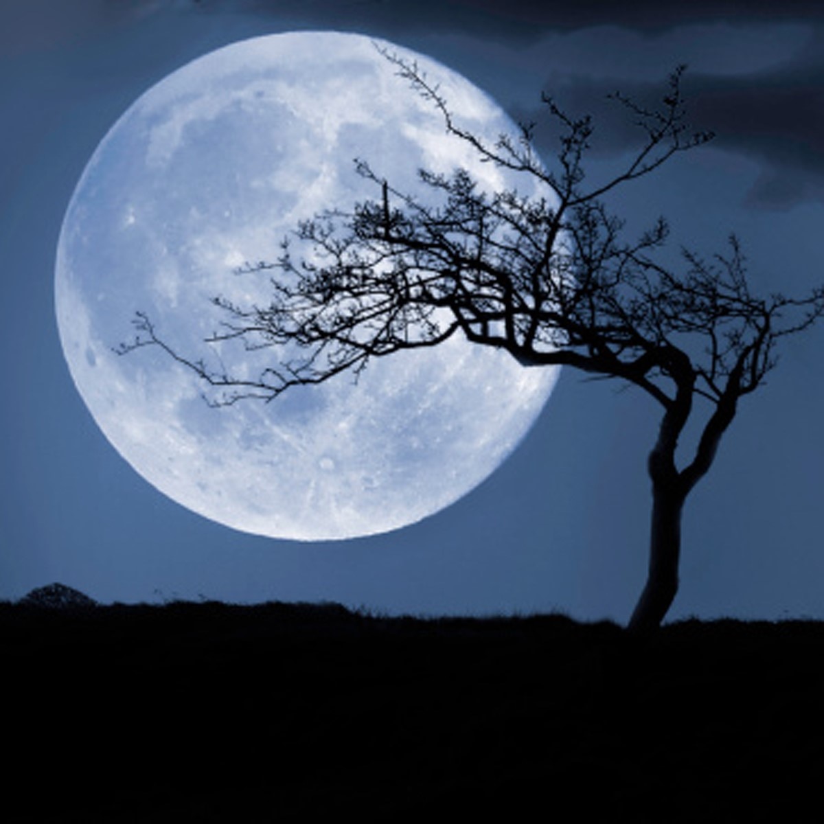 know all about blue moon