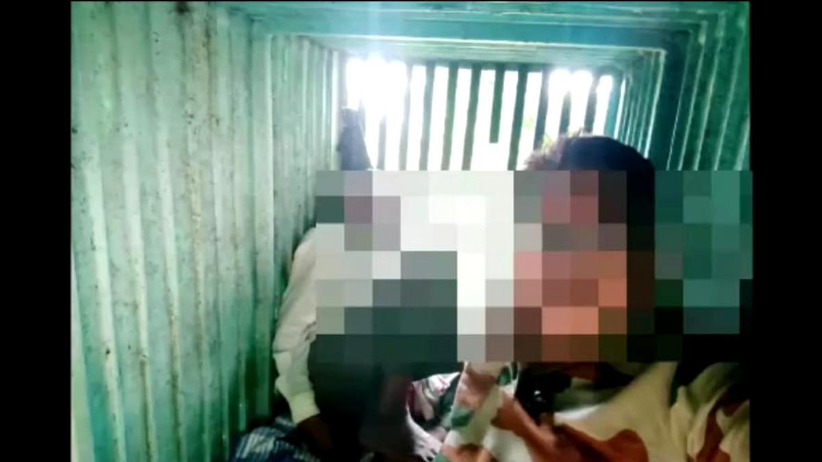 आदमखोर बाघ को पकड़ने पिंजरे में बैठाए कर्मचारी.