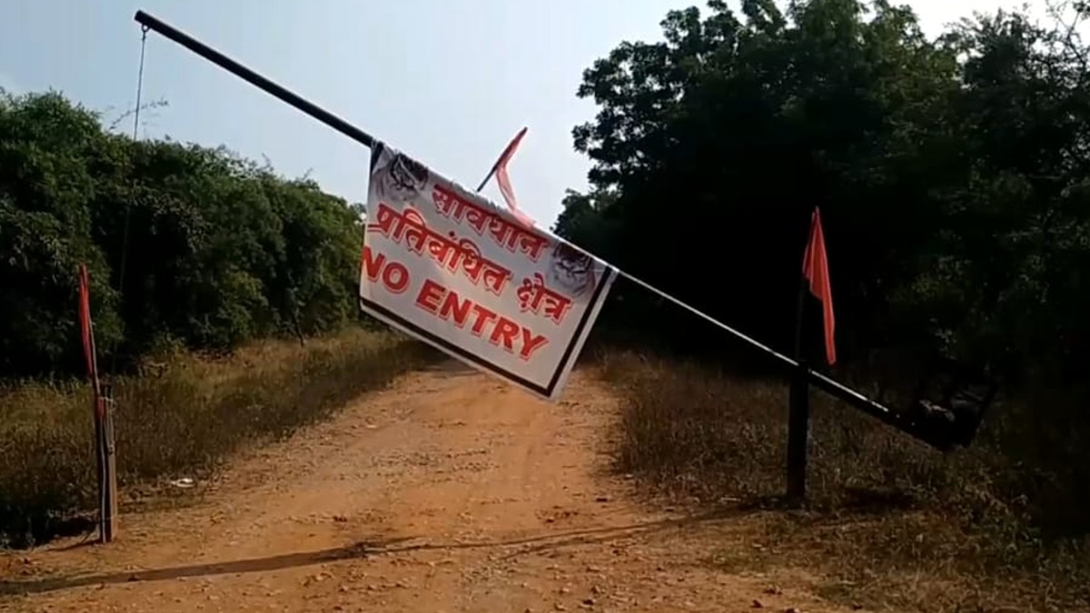 आदमखोर बाघ को पकड़ने पिंजरे में बैठाए कर्मचारी.