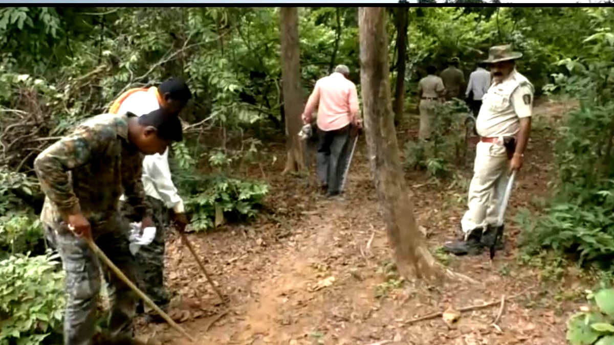 आदमखोर बाघ को पकड़ने पिंजरे में बैठाए कर्मचारी.