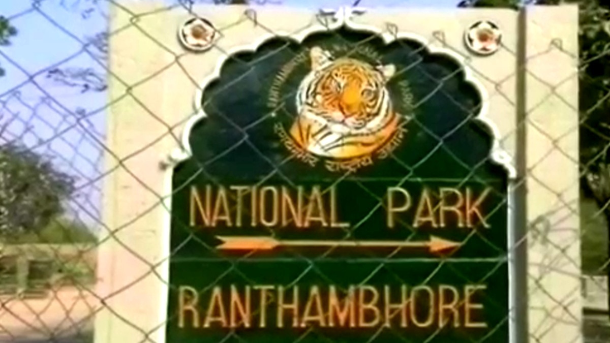 इलाके को लेकर बाघिन मां-बेटी आपस में भिड़ी.