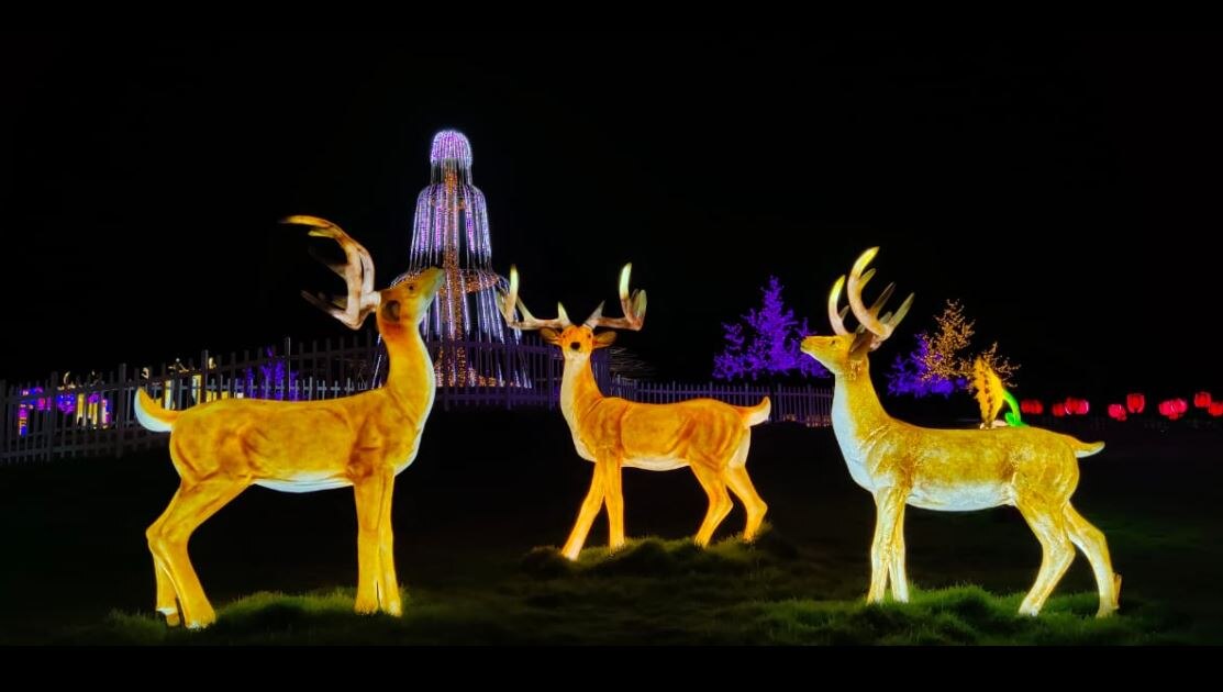 स्टैच्यू ऑफ यूनिटी