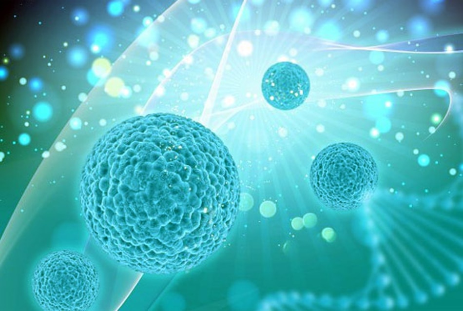 सख्ती से नियमों का करें पालन