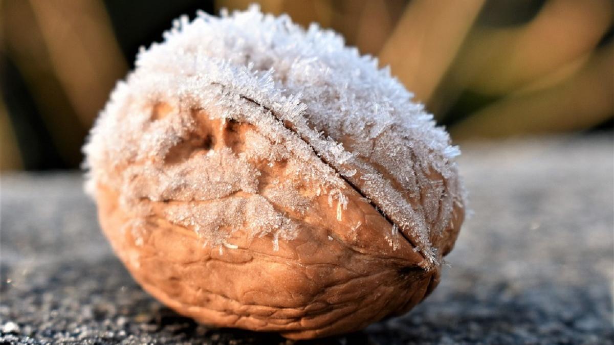 सर्दियों में रहना चाहतें है हेल्दी? भूलकर भी ना खाएं ये 10 चीजें