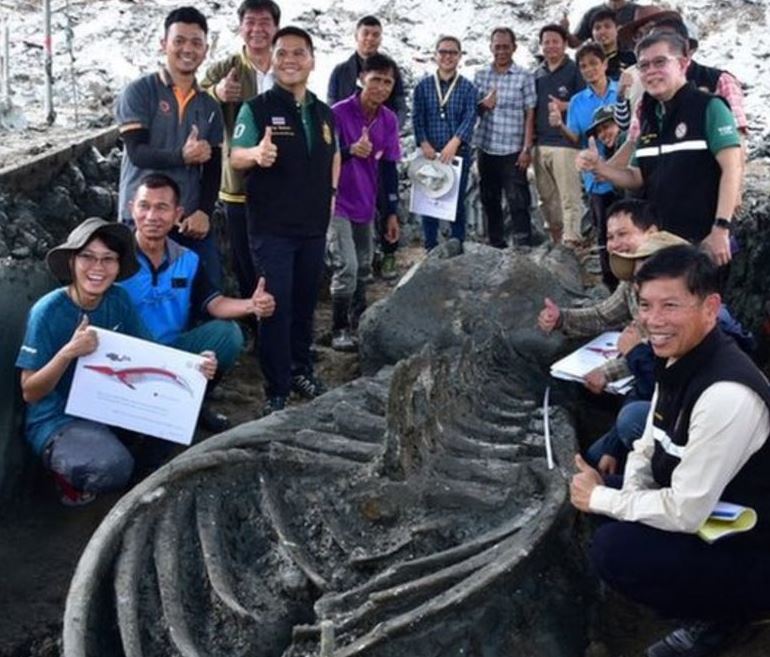 5,000 साल पुराने व्हेल का कंकाल