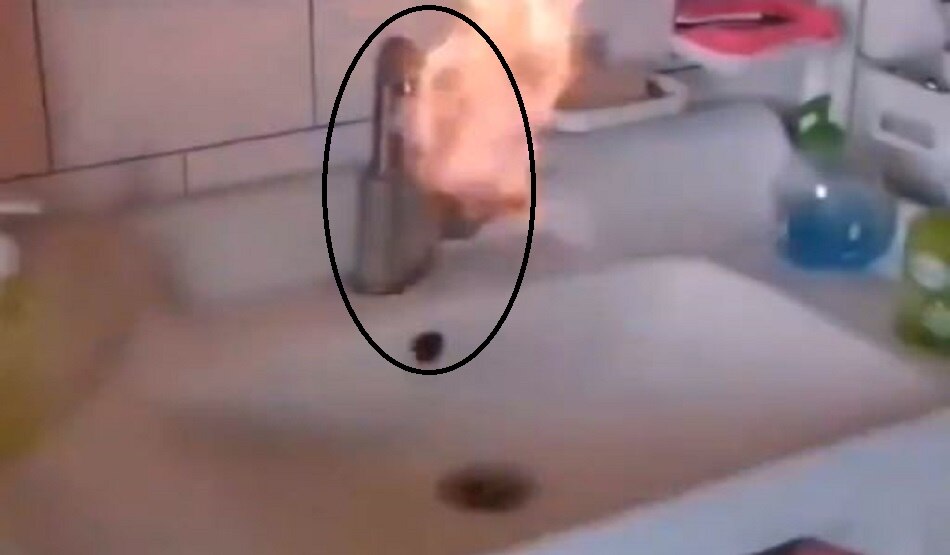 जब टंकी से निकलने लगी आग की लपटें...