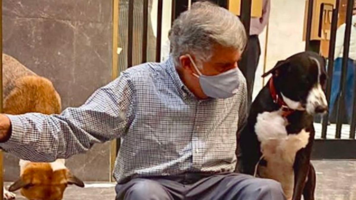 रतन टाटा अपने डॉग गोवा के साथ सोर्स इंस्टाग्राम 