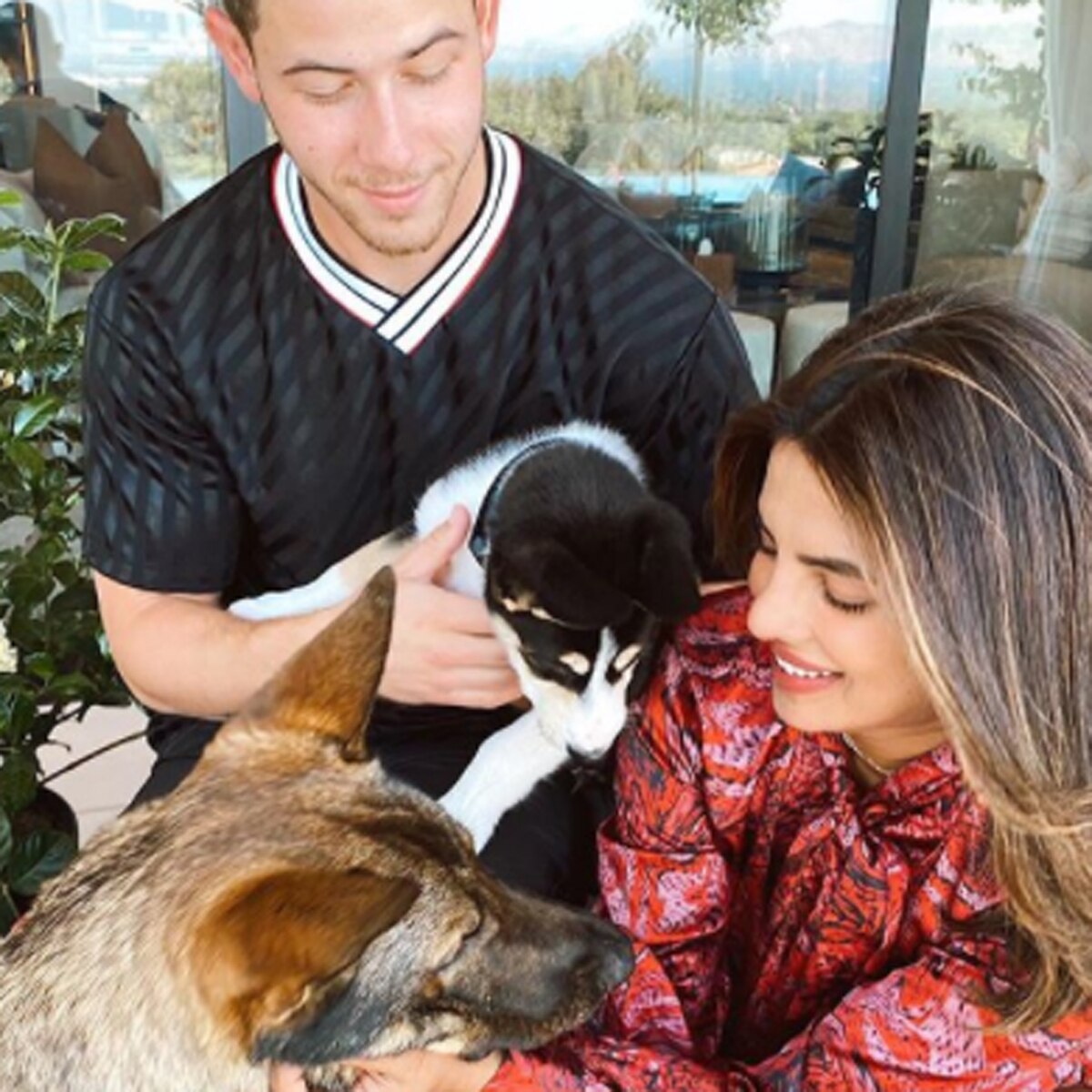 प्रियंका चोपड़ा-निक जोनस