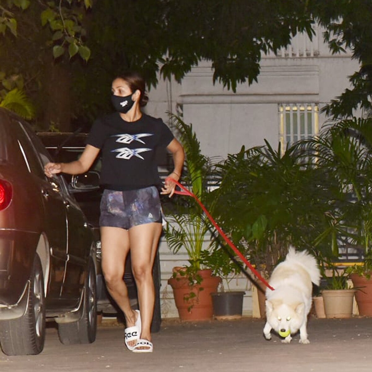 मलाइका अरोड़ा