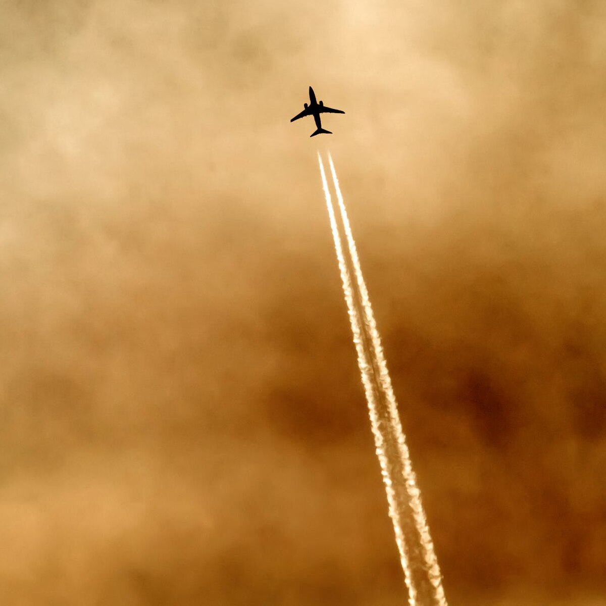प्रतीकात्मक तस्वीर