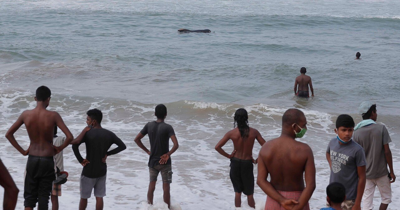 श्रीलंका में 120 व्हेल को बचाया गया