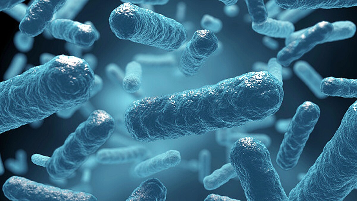 Arctic ice Melting is bigger threat than Corona